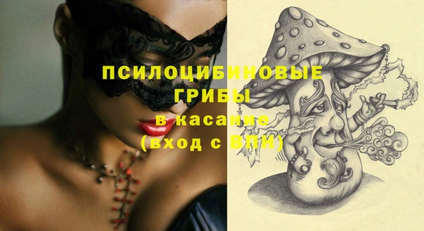 МДПВ Заводоуковск