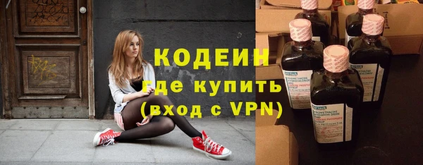 2c-b Инсар