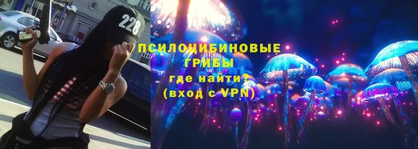 2c-b Инсар