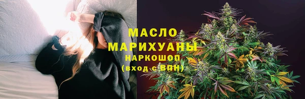 2c-b Инсар