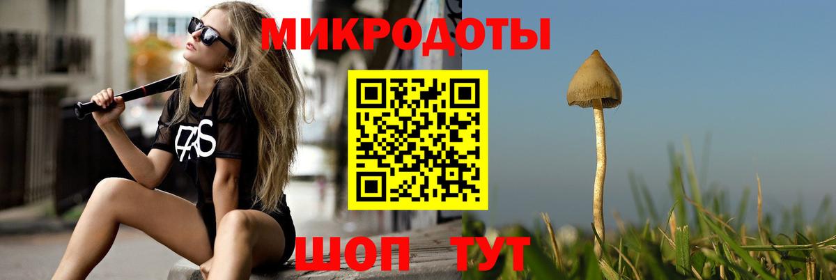 Галлюциногенные грибы GOLDEN TEACHER Михайловск